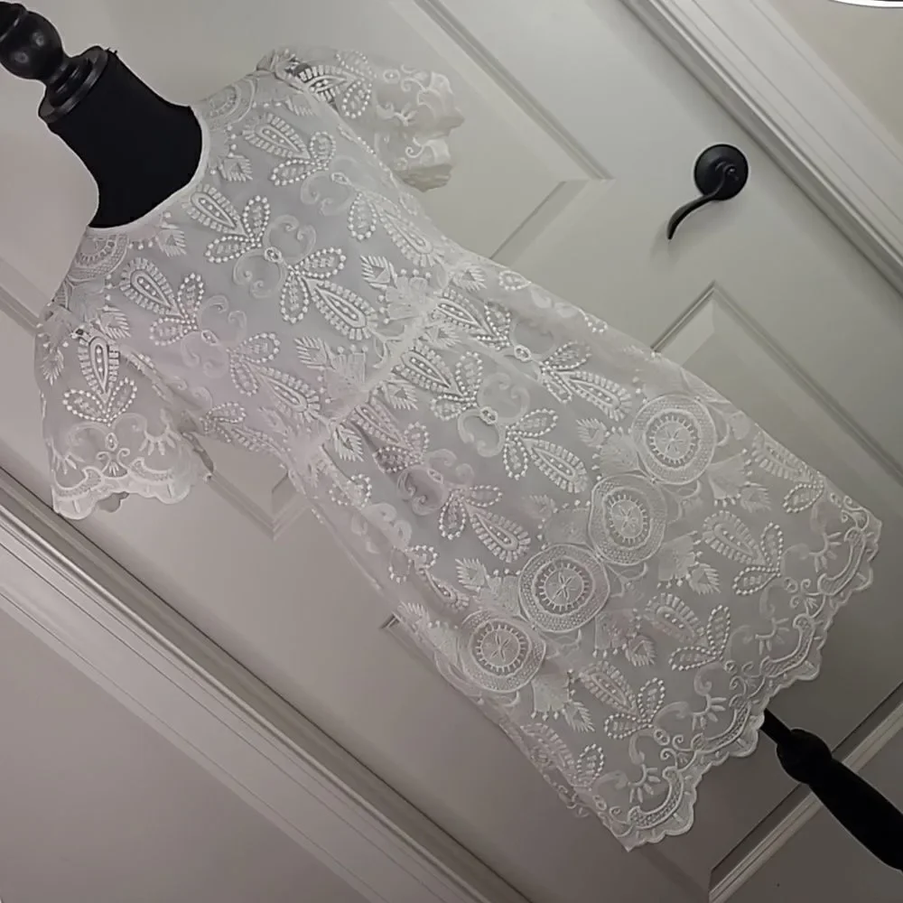 SHEIN sz S embroidered sheer dress with full lining